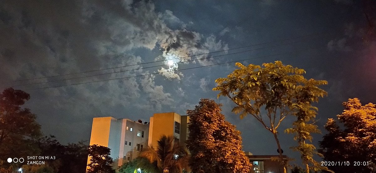 efzamroa tweet picture