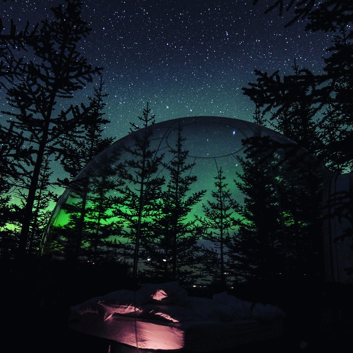 bubbleiceland's tweet photo. Here are all the 5 million stars dancing in the aurora borealis universe!!!!
https://t.co/46o2M103gG

#iceland #travel #icelandtravel #trip #hotel #tour #blogger #prrequest #accommodation #BUCKETLIST #northernlights https://t.co/9KQqWFUXrF