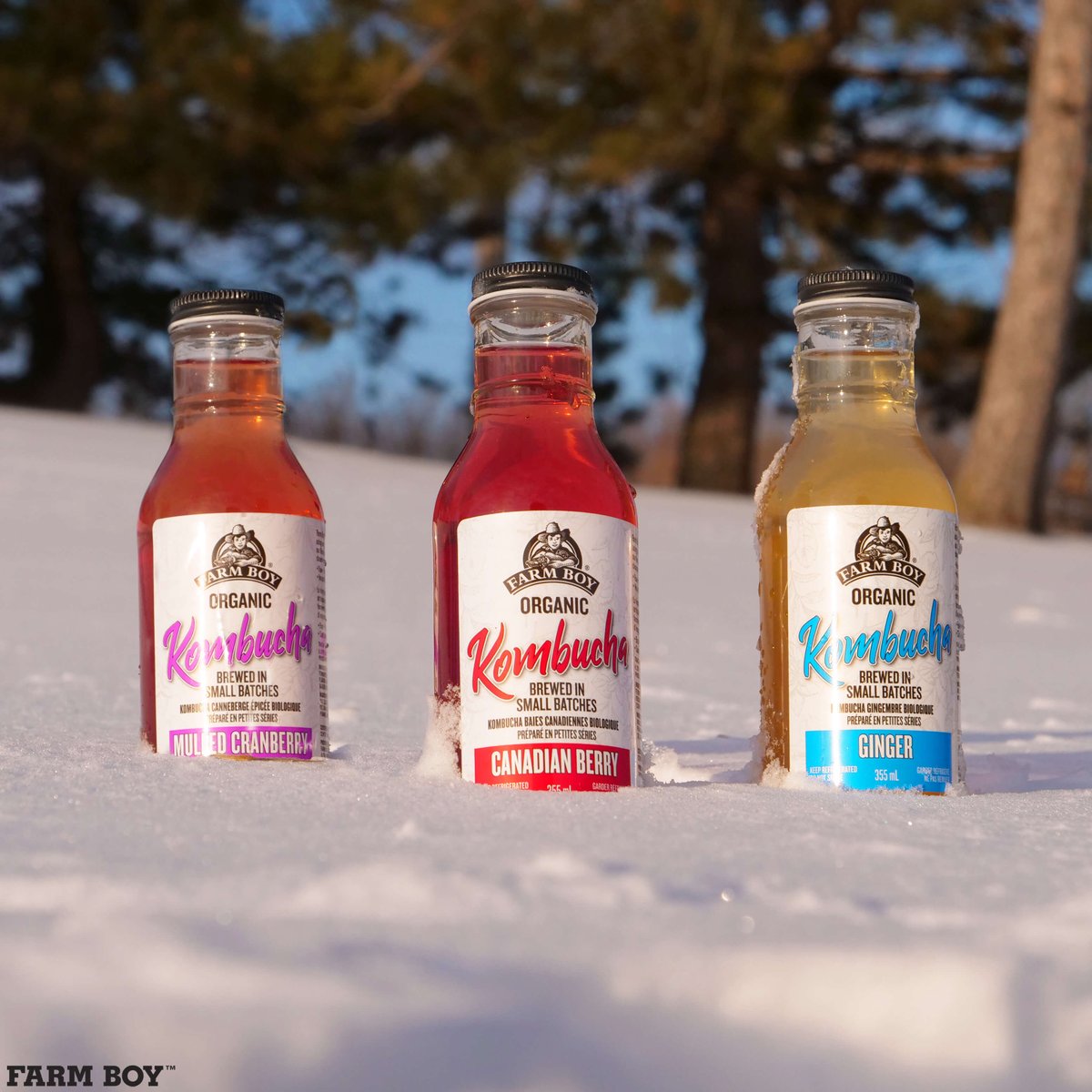 FarmBoy's tweet photo. No room in the fridge to keep your #kombucha cold? Snow problem at all. Save $0.50 each on all varieties of Farm Boy™ #Organic Kombucha through Wednesday, January 15.
#EatColourfully https://t.co/8Du2Ml17m7