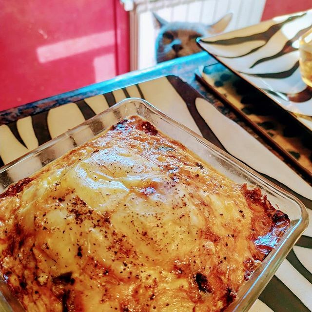CavemanTorie's tweet photo. Sausage crusted quiche! #recipe inspired by one on @diet_doctor but adapted because I can't follow instructions. A very interested #burmese #cat as well.... #dietdoctor #diet #food #foodporn #delicious #keto #ketodiet #lchf #lowcarb #primal #paleo #yummy… https://t.co/rPMhDGb3le https://t.co/zU0kCbdpP3