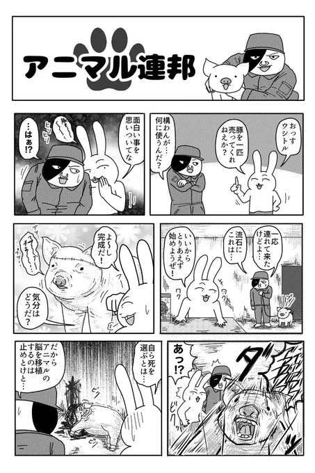 アニマル連邦『ノー』 