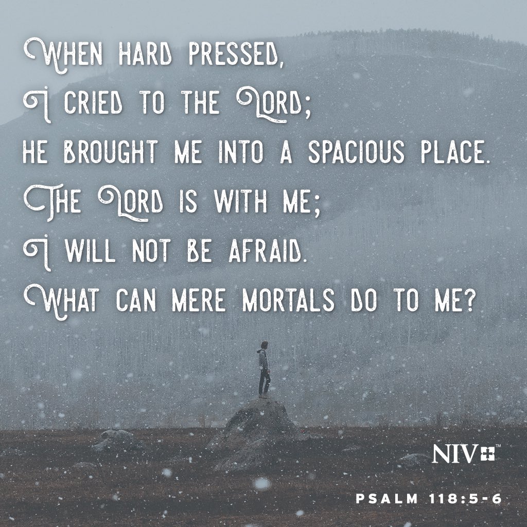 AgyemangAsieduG's tweet photo. When hard pressed, I cried to the Lord;
    he brought me into a spacious place.
The Lord is with me; I will not be afraid.
    What can mere mortals do to me?

- Psalm 118:5-6
#NIV #NIVBible @NIVBible #hardpressed #spaciousplace #meremortals https://t.co/Z21xj6Nhin