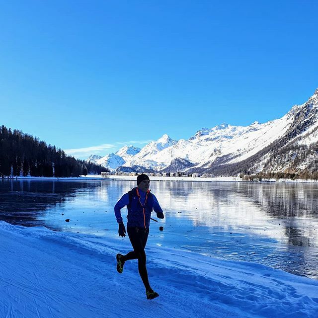 Rosario Palazzolo tweet media