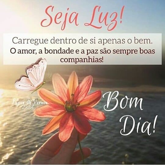 Alexand77583356's tweet photo. @DaniloGentili Danilo sou o seu fã n°1, vc esqueceu de qual fonte vc bebeu? Vc é  protestante igual a nós , não adianta se comportar igual os ímpios não https://t.co/f1D6o0VUXB