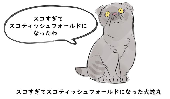 スコすぎてスコティッシュフォールドになった大蛇丸 