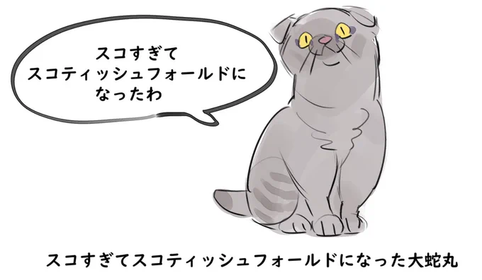 スコすぎてスコティッシュフォールドになった大蛇丸 