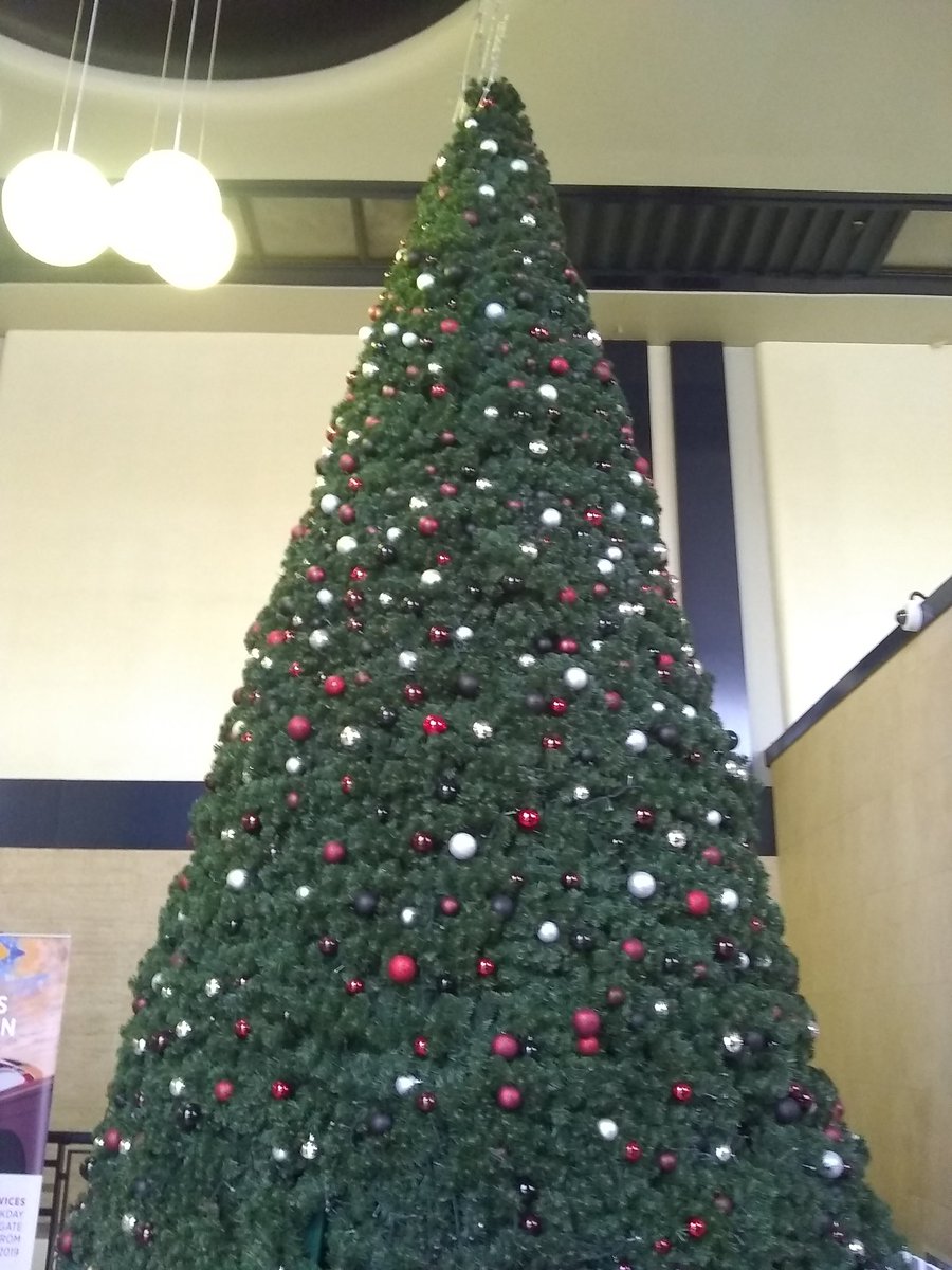 dan29809's tweet photo. @LNER I think Doncaster has forgotten to take their Xmas tree down or they must be really early it's quite amusing 😂😂😂😂😂 https://t.co/uqywwrBlNt