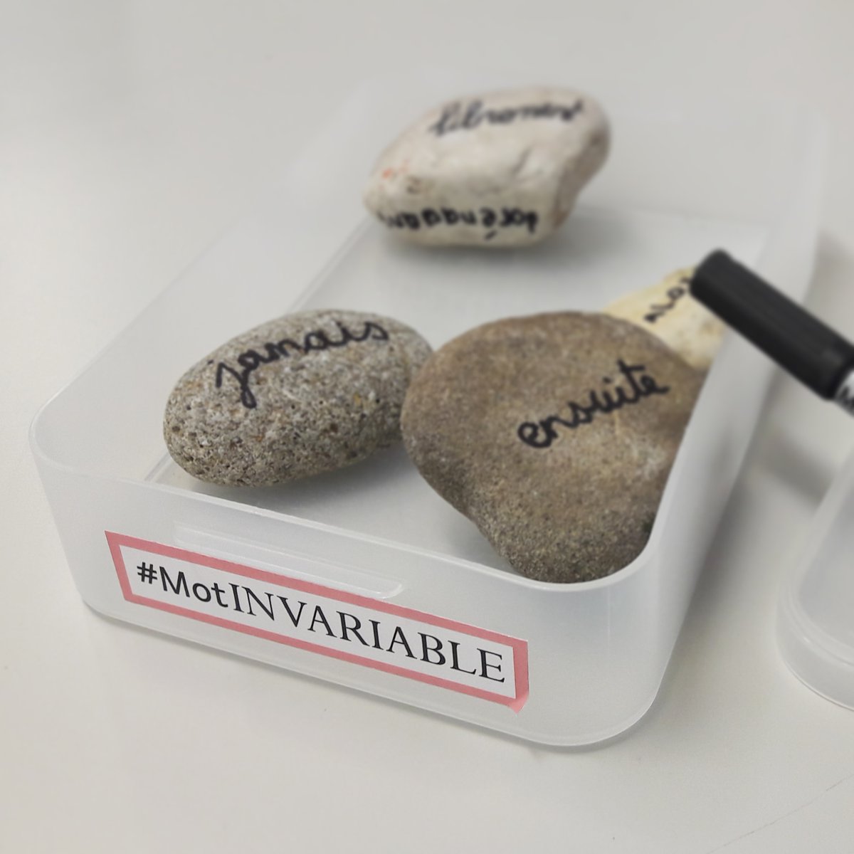 MarcThorens's tweet photo. Petit à petit et au fil de nos lectures, notre boîte de #motinvariable se remplit #twictée https://t.co/Ivbtvoh02M