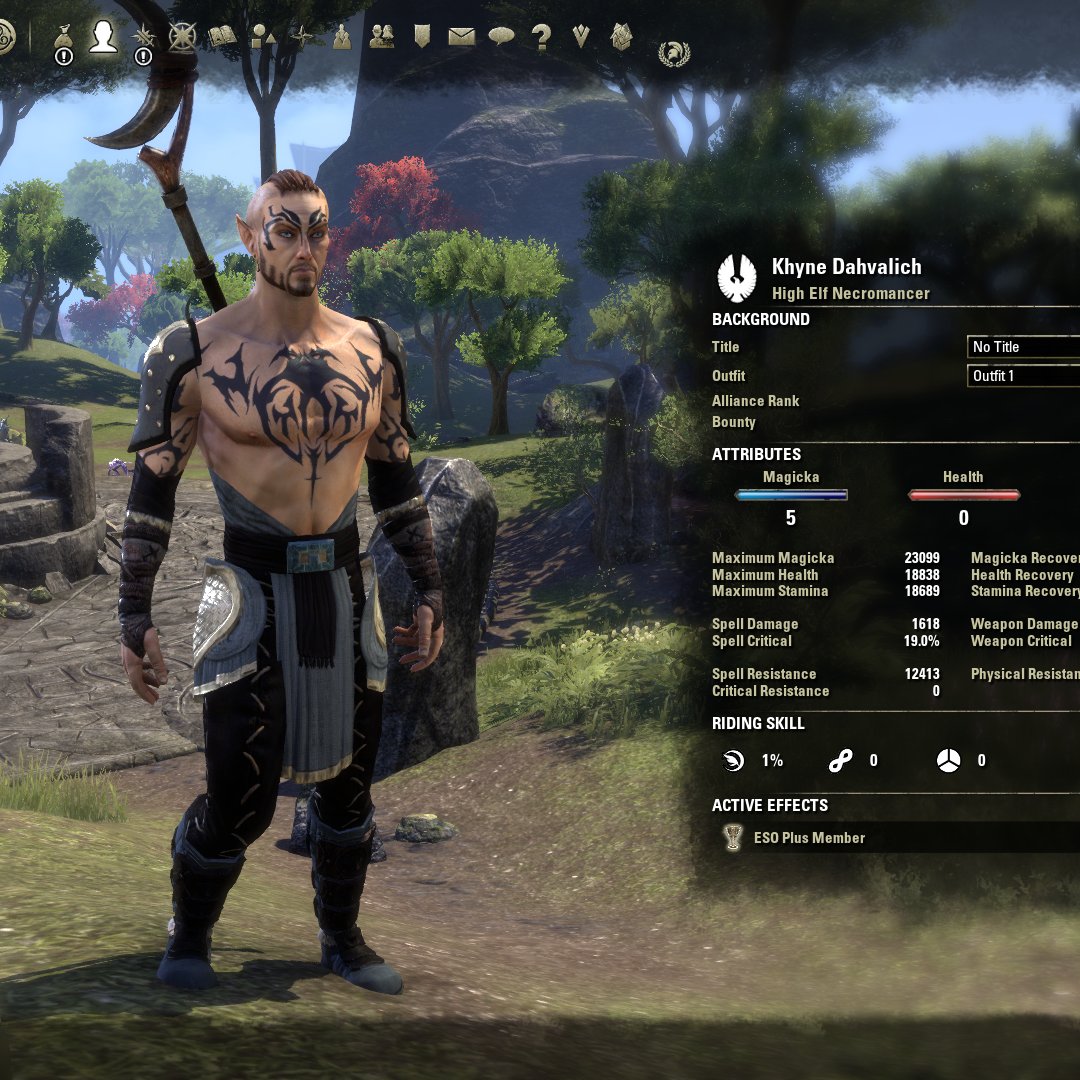 skyrimfantasy's tweet photo. My new magcro #namepun #ESOFam https://t.co/jSREHVap2z