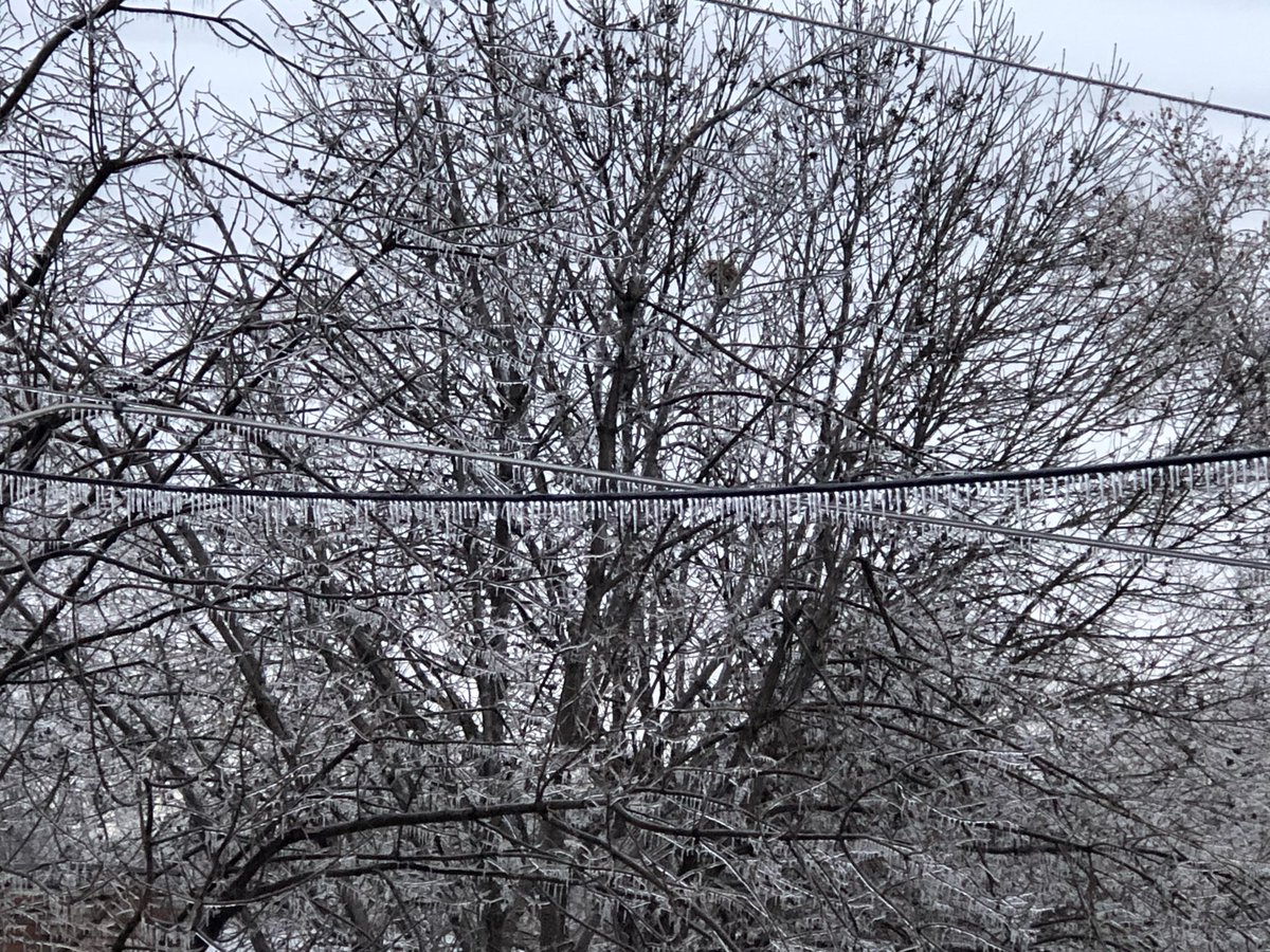 ezbeesolutions's tweet image. @kmbc @KatieHornerKMBC @NickBenderKMBC No snow falling here but plenty of ice East side St Joe  #WeatherBugBeth #Stillhavepower #Besafe