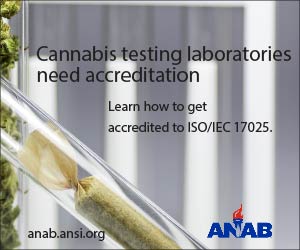 ansidotorg's tweet photo. #LabAccreditation Find out how to accredit your cannabis testing lab. Cannabinoid testing and content (e.g., THC, THCV, CBD) terpene profile, pesticides, microbiological contaminants such as mold, and bacteria, heavy metals, residual solvents #iso17025 https://t.co/ebFEfHRqFN https://t.co/UOOhOFR5Tv