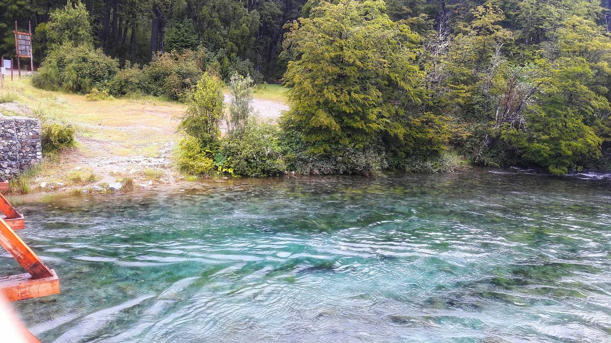 MeCan11242614's tweet photo. Zona turistica Los Rapidos - Puente del Rio Manso. 
 🏞🗺💕🌳
#puenteriomanso #barilocheargentina #cerrotronador #NaturalezaPura #aguascriatalinas https://t.co/f4Vib7Ku8Y