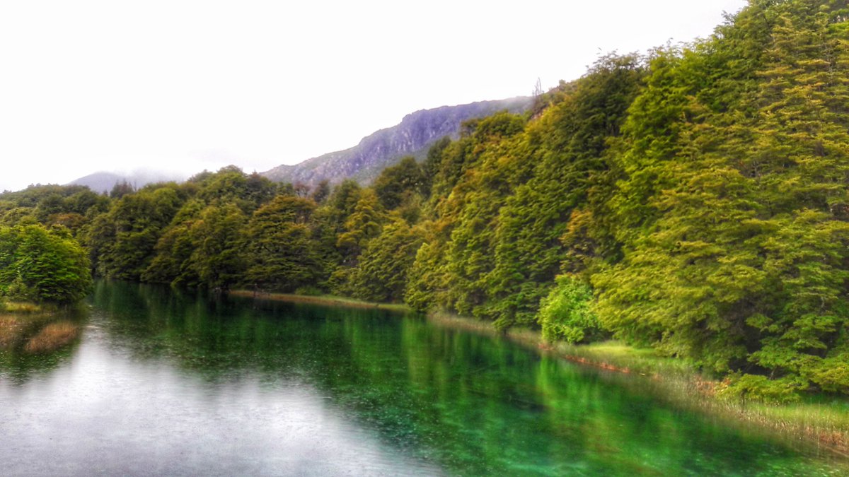 MeCan11242614's tweet photo. Zona turistica Los Rapidos - Puente del Rio Manso. 
 🏞🗺💕🌳
#puenteriomanso #barilocheargentina #cerrotronador #NaturalezaPura #aguascriatalinas https://t.co/f4Vib7Ku8Y