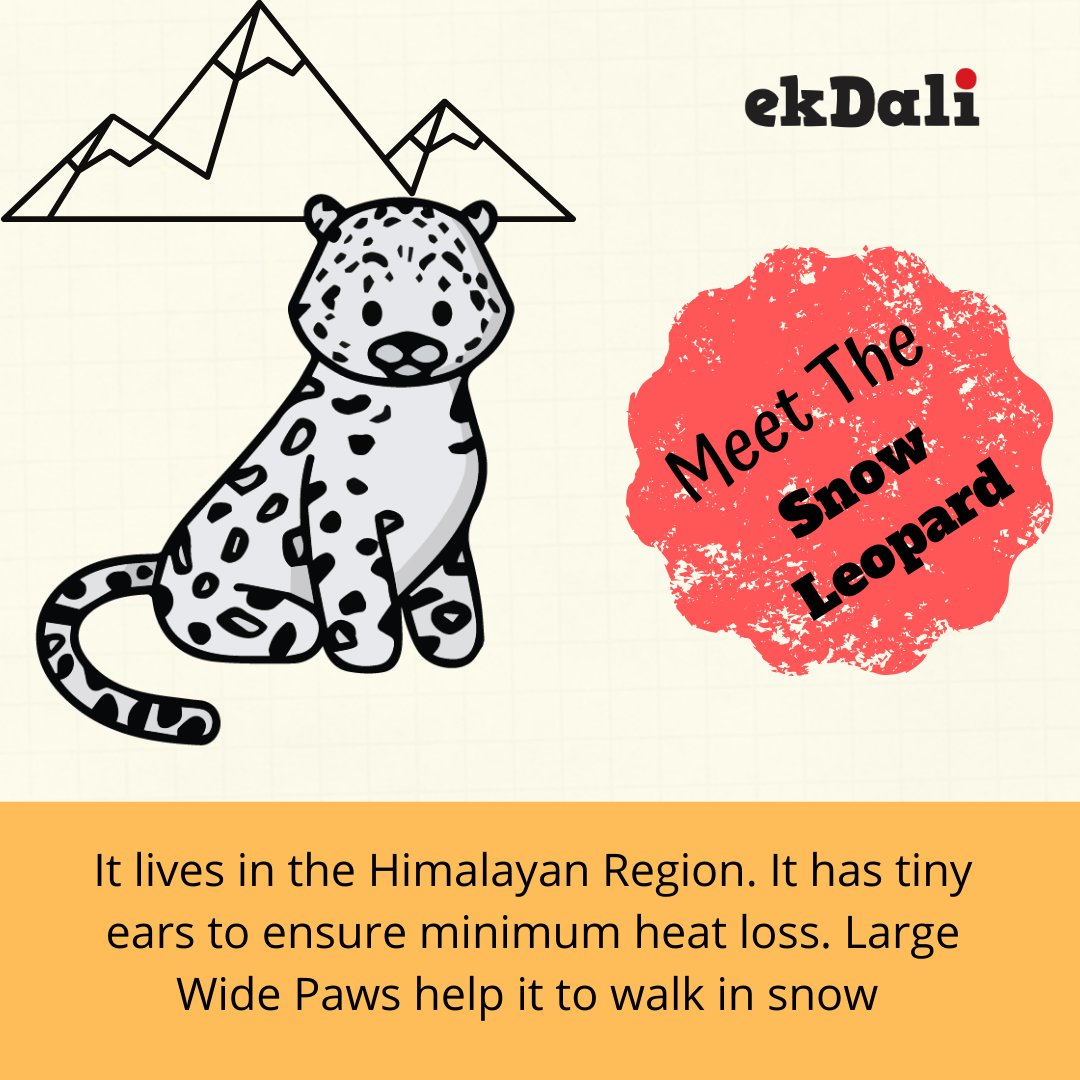 EkdaliPosters's tweet photo. Our Country's diversity is vast! Meet the Snow Leopard found in the Himalayan Region.

It has specific body adaptations to live in the snow covered habitat! including its whitish Grey Fur
https://t.co/mlxFe4z8wj

#Indiamap #animals #posters #ekdali https://t.co/4GmHJyARby
