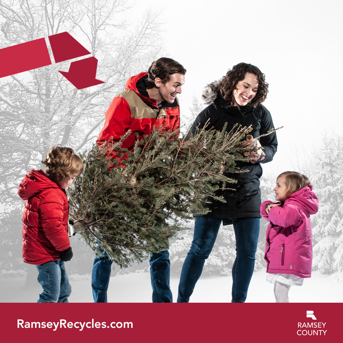 RamseyCounty's tweet photo. Still need to get rid of your Christmas tree? Bring it to a county yard waste site for free! 

Accepted locations include: Arden Hills, Frank and Sims, Midway and White Bear Township. 

Hours: https://t.co/cZ6De7fzwf
#RamseyRecycles https://t.co/e50lONHjNT