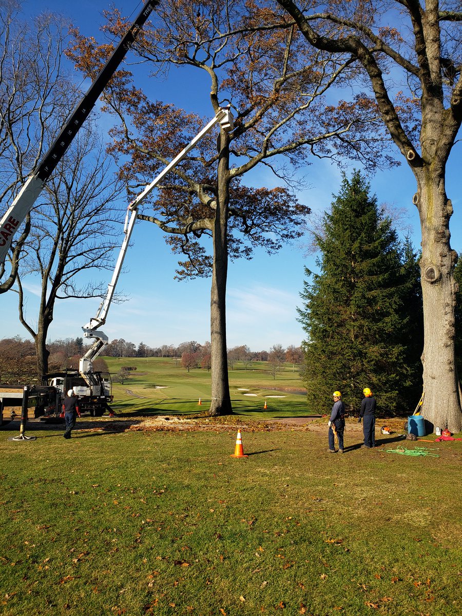 ralonzijr's tweet image. 7th tee is taking shape. New rear tee adds 30 yards.