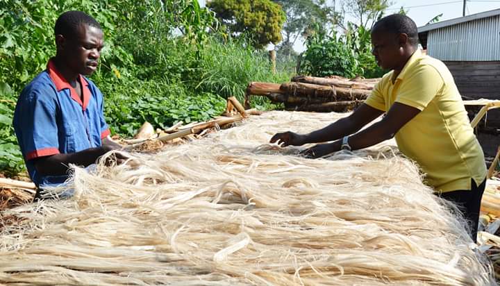solomonkalema1's tweet photo. Since the onset of rolling out these incubation models in #Africa we have experienced progress in creating dependable income and #jobs especially for our #youth and #women. https://t.co/CaygbcmzPo