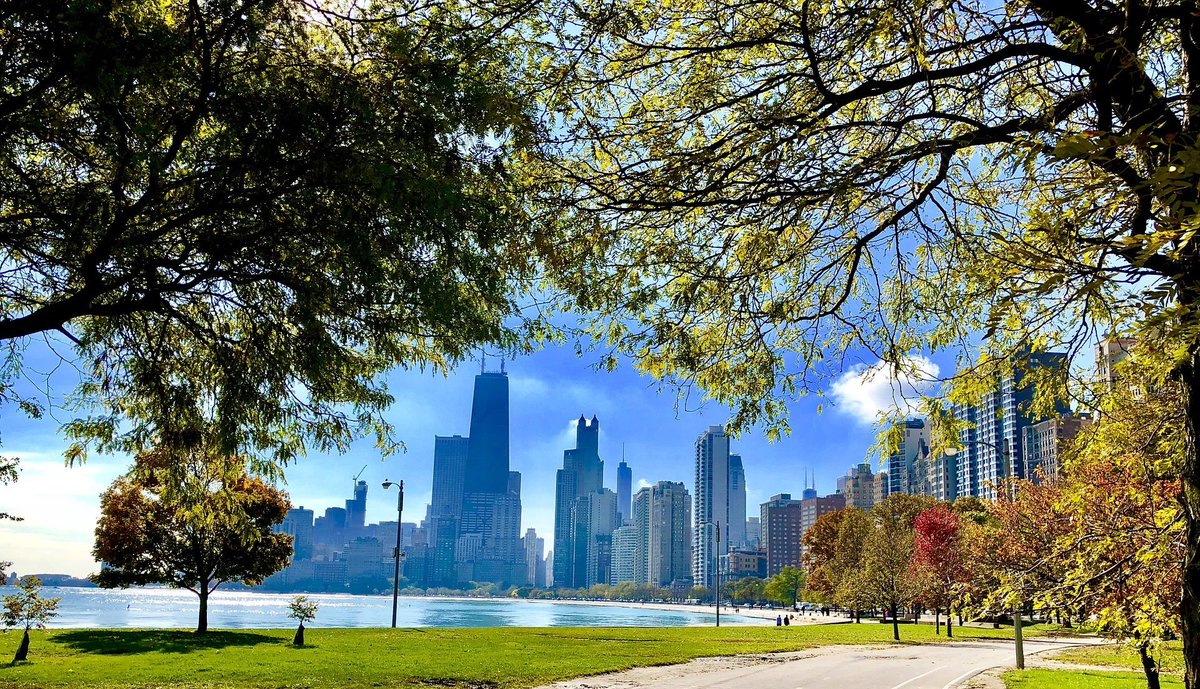 Nature in the city is. Чикаго Иллинойс пригород. Чикаго штат Иллинойс. Чикаго (Иллинойс) парки. Штат Чикаго природа.