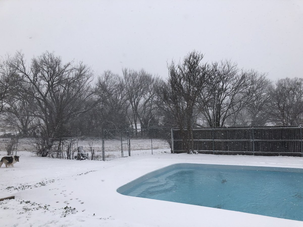 D0uglasK's tweet photo. Snow in Krum @wfaa https://t.co/vjOYmfpFPg