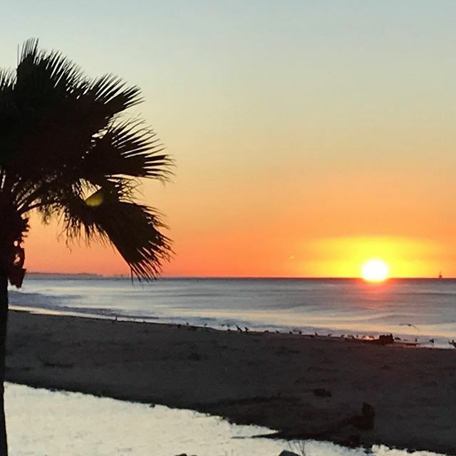 The Paddleboard Co. tweet media