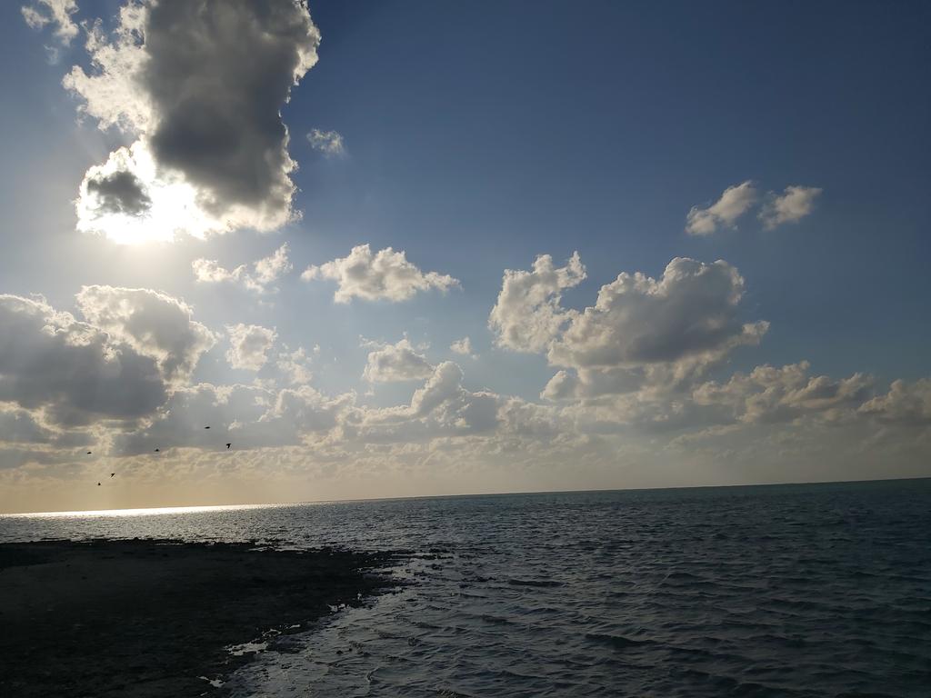 Ranamulla2's tweet image. For Jungkook~!♡
#ForJK

#forJungkook
Come on Army!!!
Jungkook Loves Take and To Take a Photost,Let's Show Him Some Buttifule Feelings in our photos!♡