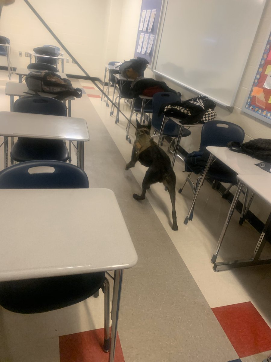 K9officersinc's tweet photo. The Waller County Sherriffs Office K9’s looking after the community. Thank you to these amazing K9’s! #K9Officersinc #HK9A #JuliusK9 #K9oftheDay #K9Robin #Sassysgoodies https://t.co/bpyGP7fqtu