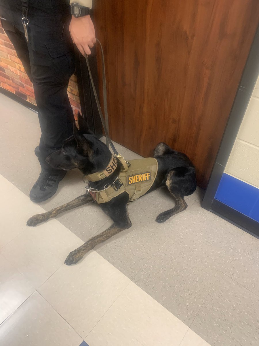 K9officersinc's tweet photo. The Waller County Sherriffs Office K9’s looking after the community. Thank you to these amazing K9’s! #K9Officersinc #HK9A #JuliusK9 #K9oftheDay #K9Robin #Sassysgoodies https://t.co/bpyGP7fqtu