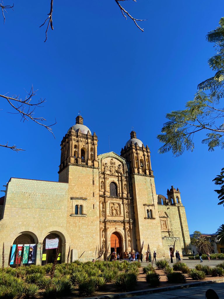 natalialepea's tweet photo. templo santo domingo arquitectura barroca novohispana construida entre 1550-1600 y unos cactus bien chidos en el jardín botánico (un proyecto el cual querían hacerlo un estacionamiento pero ganó la madre naturaleza) 
#diacuatro #demochilasenoaxaca https://t.co/jADVrd6CsQ