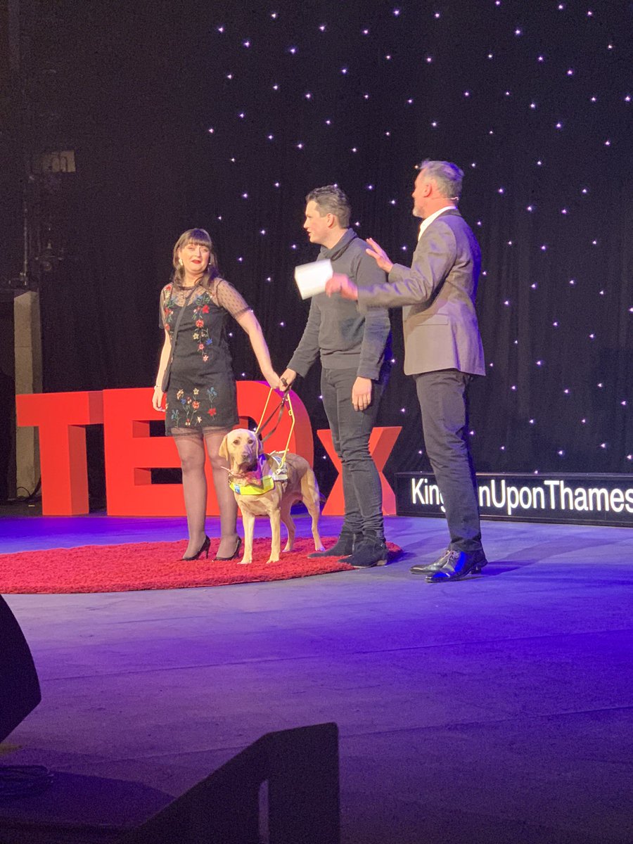 TEDxKingston's tweet photo. Standing ovation for Fern only raised by the arrival of Nancy #guidedog Thank you #tedxkingston you rock! https://t.co/P8mcYdhjgi