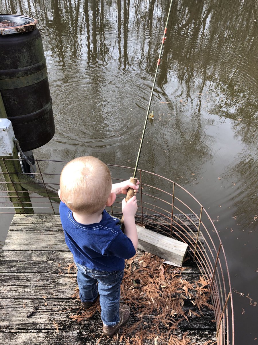 Secret_creek's tweet photo. Sunfish are the best for Flyfishing children. https://t.co/jrTeBx2qcX