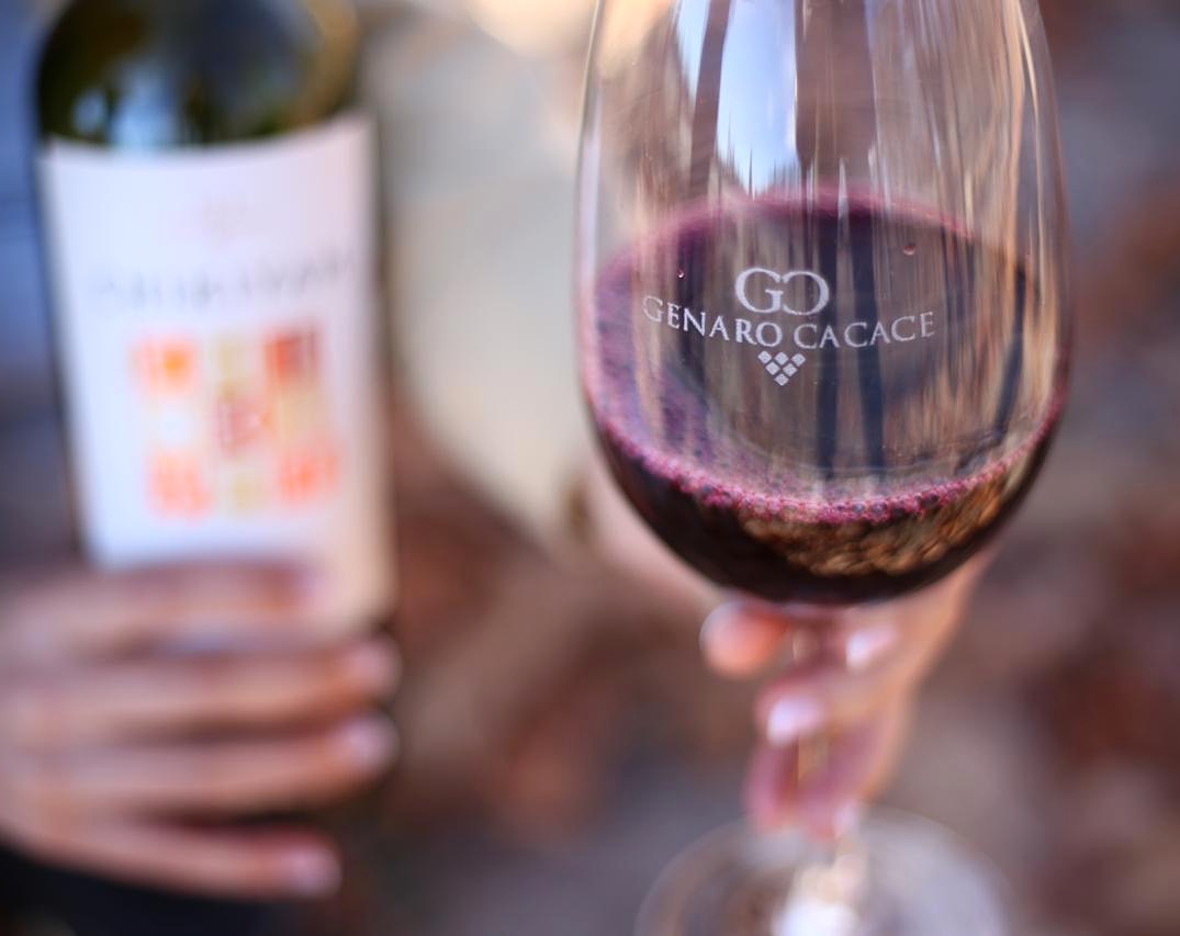 GenaroCacace's tweet photo. Petit Verdot, Bonarda, Malbec, Syrah, Tannat, Cabernet Sauvignon... Nuestras variedades tintas!

Pedinos los precios por mensaje directo! 🍷 https://t.co/Jnkpqa1oen