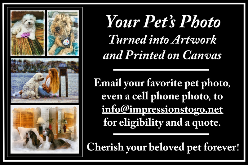 ImpressionsToGo's tweet photo. https://t.co/uMBJeFpBzS