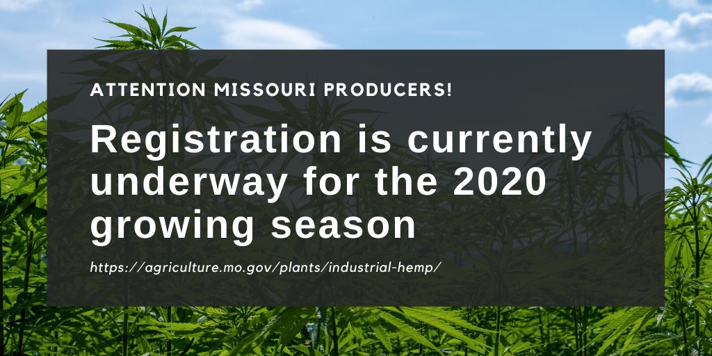 fiber_tiger's tweet photo. New year!  New crop!  The Missouri DoA has begun accepting applications to grow industrial hemp during the 2020 season.  More info about the process + a list of workshops being held in Jan can be found at: https://t.co/fBJAYX0nnU

#hempfarming #hempfiber #missourihemp #hemp https://t.co/nJXQGwdaRd