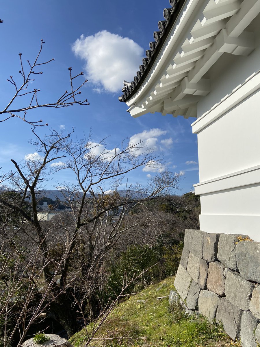 chil_goshuin's tweet photo. 100名城巡り
#小田原城
3連休なに、しようかと思い、
下道で行ってきました！
そんなに大きくはないけど、お城って
やはりすごいですね✨

御城印もらってきました。 https://t.co/2pb19y8dKK