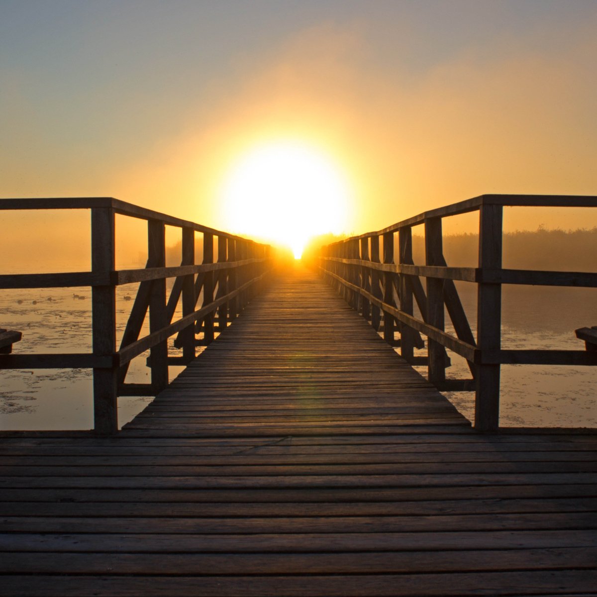 MichaelBIsbell's tweet photo. The land in your horizons is where you will eventually find yourself. Make sure that your sights are set on a place you actually want to end up. #ShareYourStory #FindYourVoice #DocumentMyLife #StayingAuthentic #LiveYourBestLife https://t.co/vGCpsrNzwA https://t.co/tzprHGL7K5