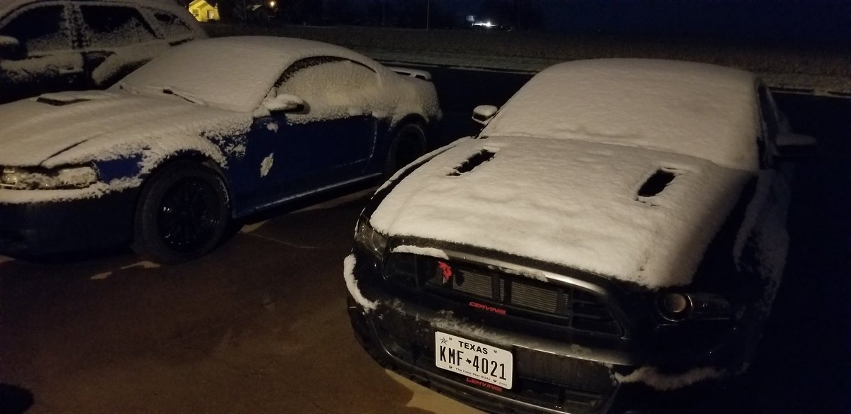 Cam_Amalla1's tweet image. Got a little snow here in the big city lol my poor girls #modmustangs #coyotepower #texaswinter #fordforlife #Mach1