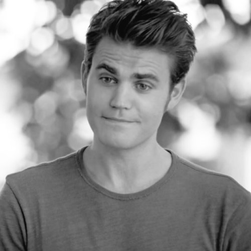 alyciadebcary's tweet photo. I miss Stefan Salvatore every single day. Like please come back to me https://t.co/njKs29NTVa