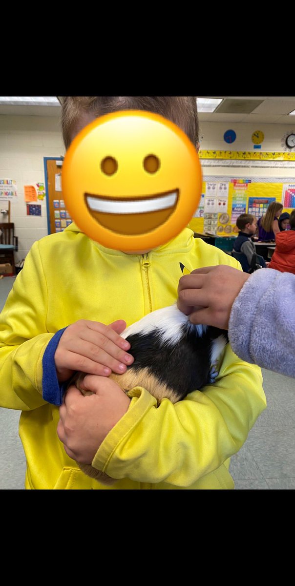 ACES_Peanut's tweet photo. I got cuddled by a kid from another class yesterday! He was very gentle and loving. He even gave me carrots. I think I’ll be his friend now. #ittakesavillage #ACESPowerUp @talesfrom205 @AmeliaElem @cumminsjm @ACES_AP https://t.co/w2b1x17hWb