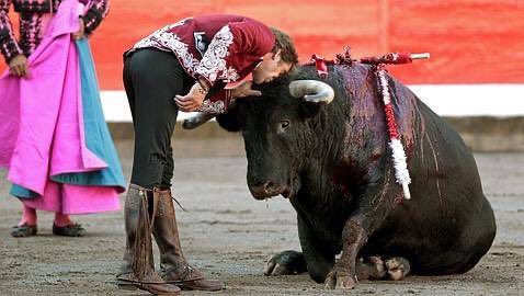 I hate this bullfighting as much as trophy hunting, and kissing the bull you have tortured to the point of death... @rickygervais says it the best, “fuck anyone who tortures an animal for fun”. 
#BanBullfighting 
Please retweet 🙏🏿