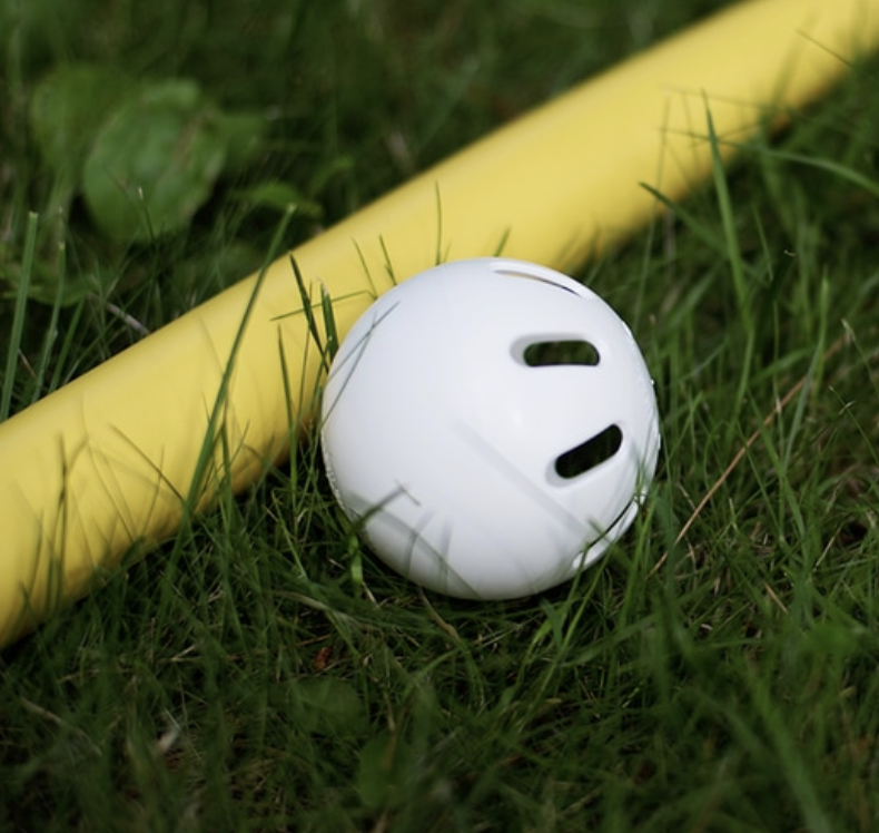 We want your opinion on a Wiffleball Tournament Day! - mailchi.mp/031d7825d454/w…