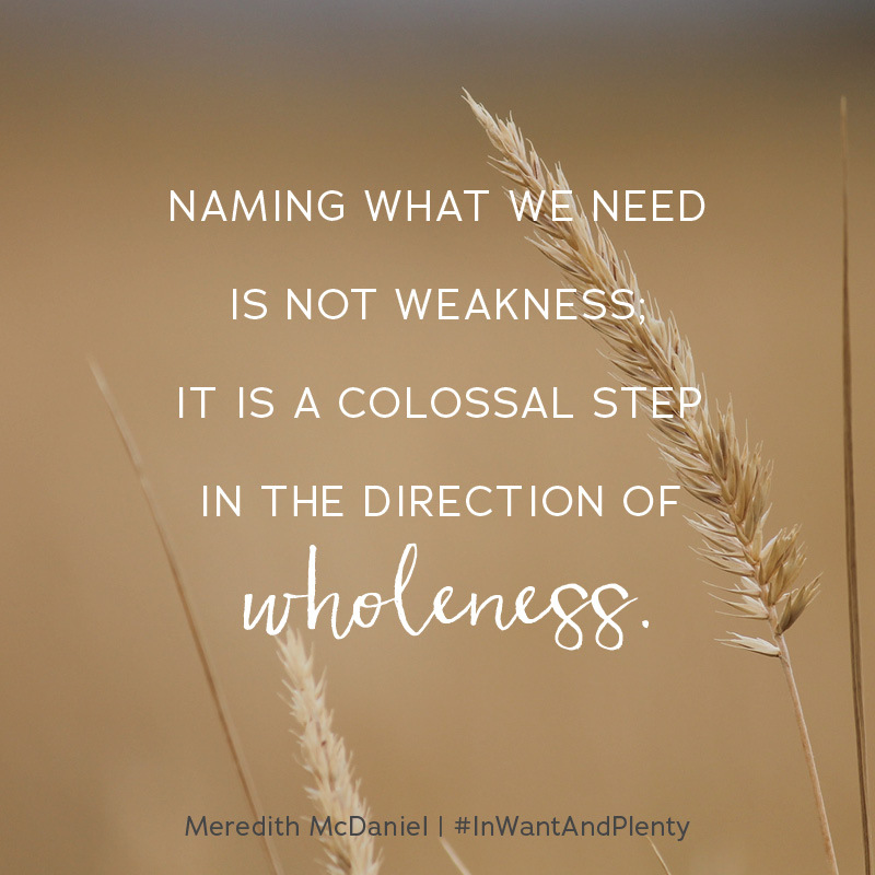 RevellBooks's tweet photo. "There is power in naming our patterns and realizing that we are being controlled by a false narrative. Naming what we need is not weakness; it is a colossal step in the direction of wholeness." -Meredith McDaniel, #InWantandPlenty https://t.co/Ph8GSMWsUm https://t.co/HuWmccU3dQ