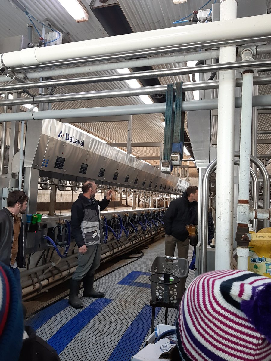 University of Guelph Dairy Science Club tweet media