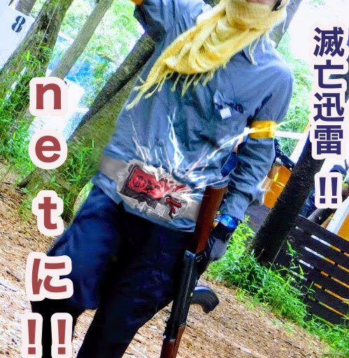 滅亡迅雷netに接続チャレンジのtwitterイラスト検索結果