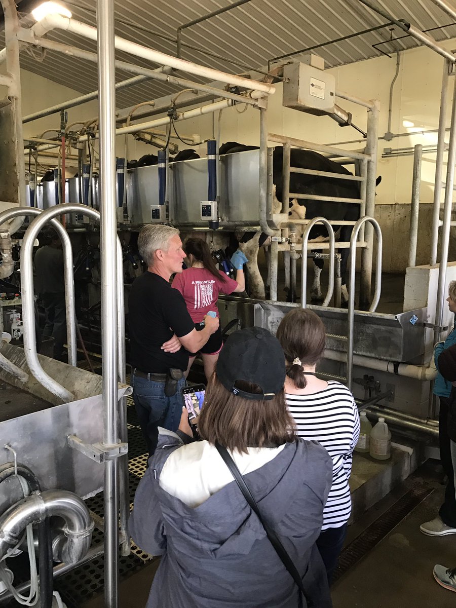 priortotheplate's tweet photo. Happy National Milk Day!  Sharing a pic of our tour participants learning about milk production at @KrauseHolsteins .  Thanks to all the dairy farmers for providing us delicious milk!  #NationalMilkDay #DairyFarm #MNag https://t.co/kz6Rfqay54