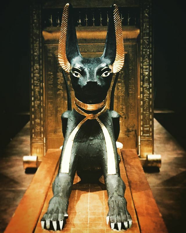 DeepnoiseDj's tweet photo. Tutankamón... ##tagsapp  #gallerylife #ig_artgallery #thegallery #arts_gallery #instagallery #gallery #artgallery #arts #artofheday #arte #instaart #art #history #museumlife #instamuseum #museumday #newmuseum #museums #artmuseum #museum #museumart #artev… https://t.co/vGoyPCoDTu https://t.co/7wblSzxhWc