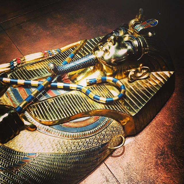 DeepnoiseDj's tweet photo. Tutankamón... ##tagsapp  #gallerylife #ig_artgallery #thegallery #arts_gallery #instagallery #gallery #artgallery #arts #artofheday #arte #instaart #art #history #museumlife #instamuseum #museumday #newmuseum #museums #artmuseum #museum #museumart #artev… https://t.co/C57qUuP5Wx https://t.co/OkcP7bSux8