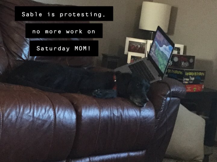 kip2malu's tweet photo. Sable Dog expects Senior Pup Saturday to be honored #SableDog #seniorpupsaturday #blacklab https://t.co/WQY3p3UK2Z