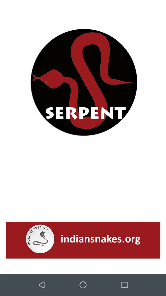 snakebite tweet media