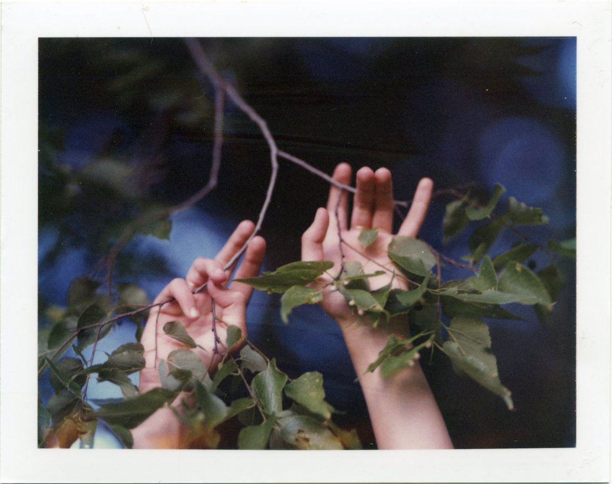 hellothisiskyle's tweet image. still one of my favorite polaroids of all time

#polaroid669 #polaroid #instantfilm #peelapart #analogphotography #graflex #superD