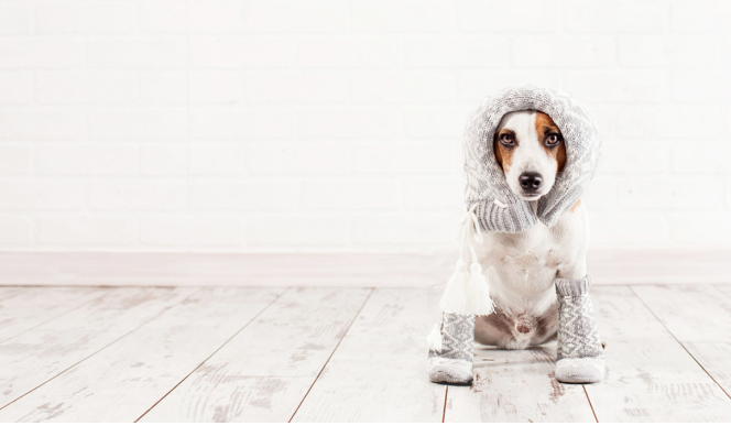 OurMetroplex's tweet photo. Winter Weatherproofing Ideas That Take Just Minutes
READ: https://t.co/V4r1xb77Gy

Our Metroplex Realty LLC
(972) 430-2068
teamomr@ourmetroplexrealty.com
https://t.co/FwY5TI6aQ9

#TeamOMR #realestate #homebuying #homeselling #realtor #SaturdayMotivation #carroltontx #lewisvilletx https://t.co/KI1E4ikJYa
